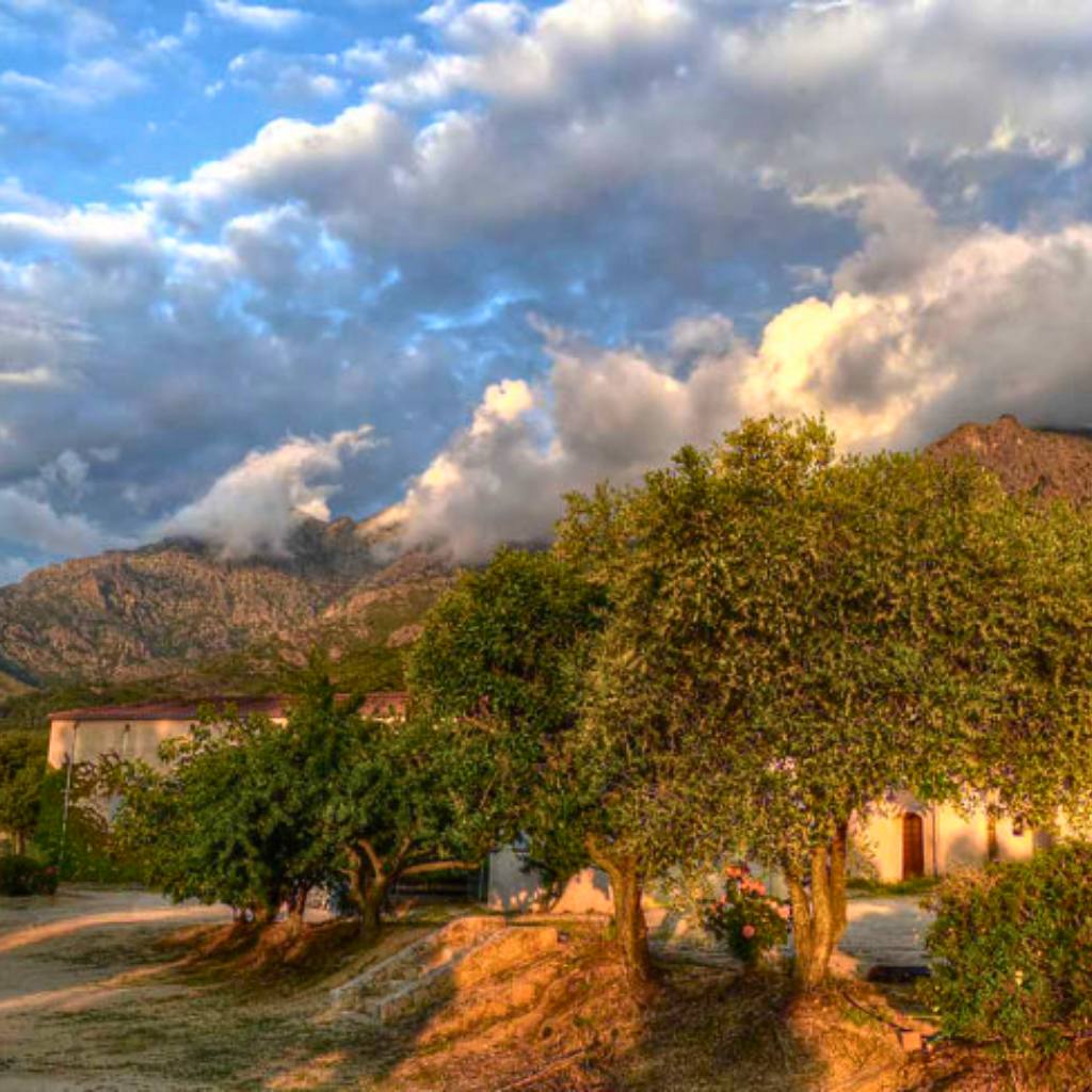 Domaine Alzipratu